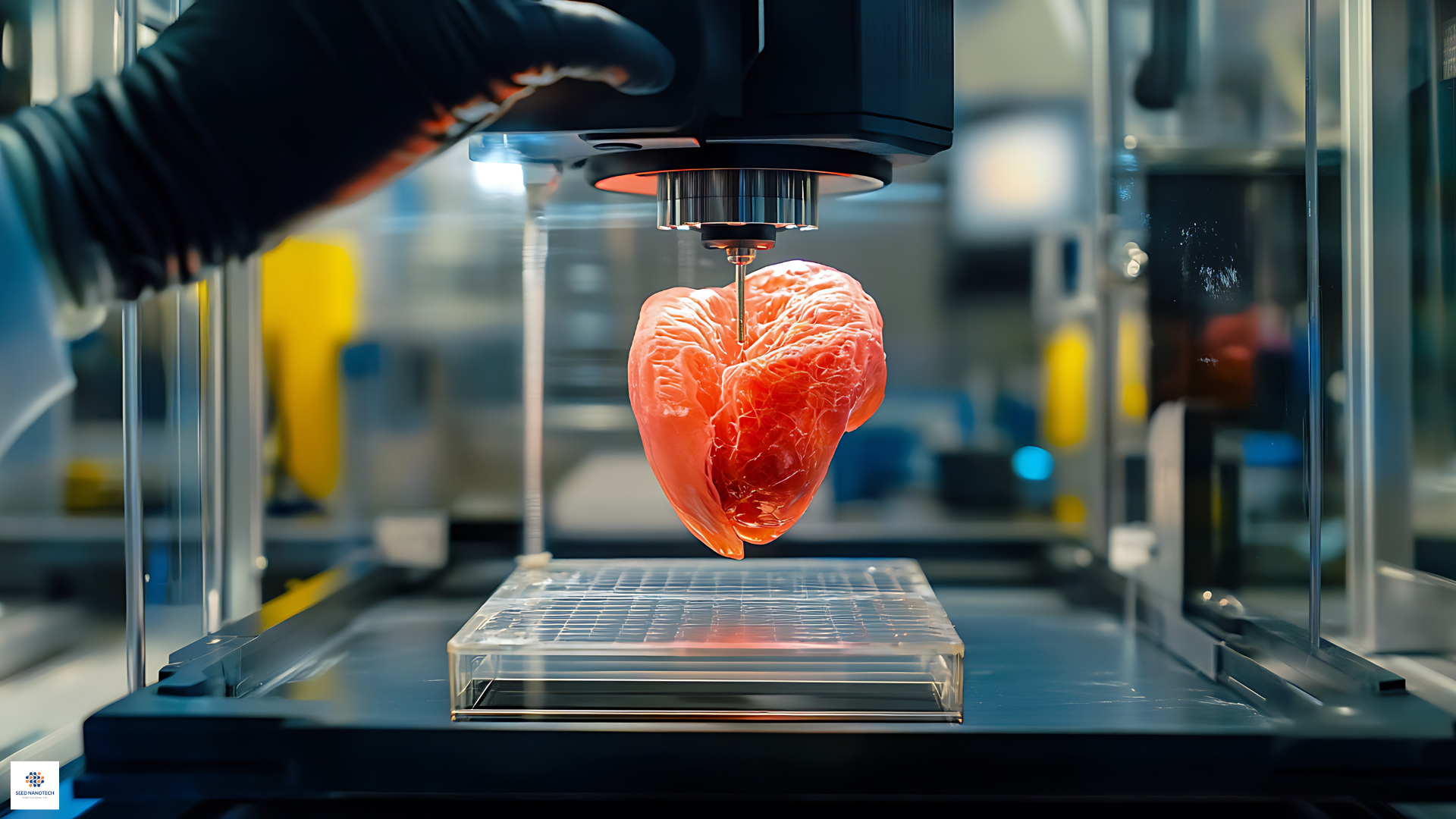 Bio-Printing